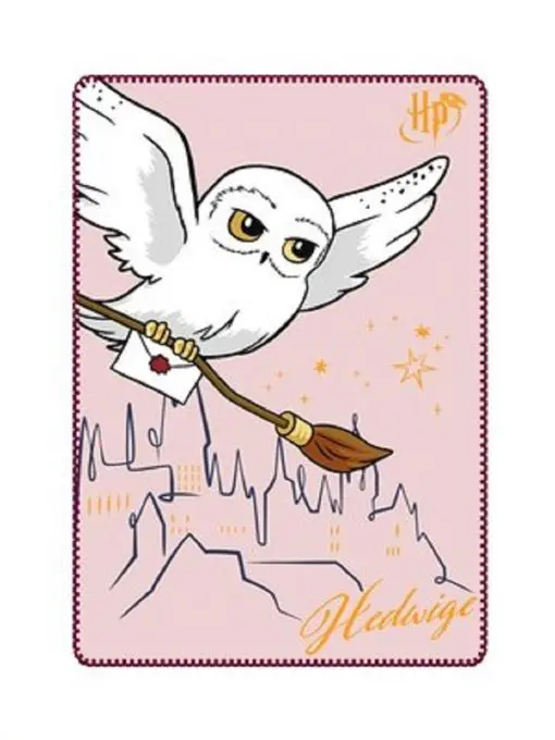 Manta polar Harry Potter
