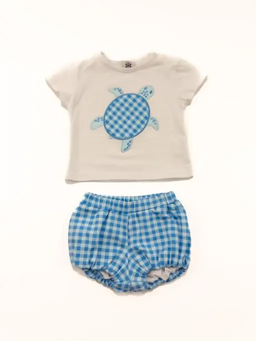 Conjunto tortuga marina